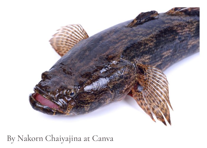 Vaiko užduoties nuotrauka