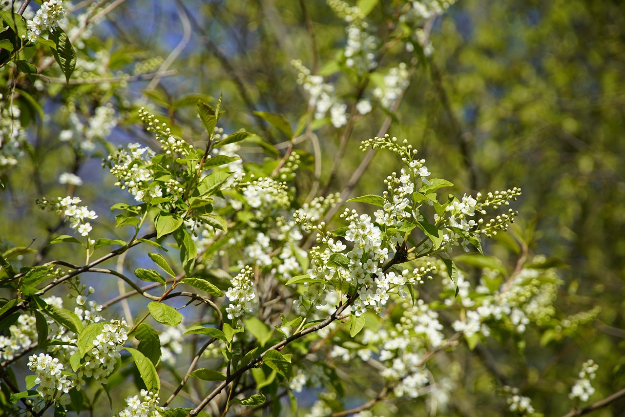 Vaiko užduoties nuotrauka